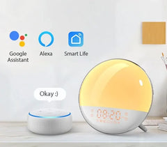 Alarm Wake Up Light